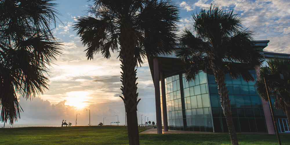 Islander Ring Ceremony Sets The Scene For Romantic Proposal Texas A M University Corpus Christi